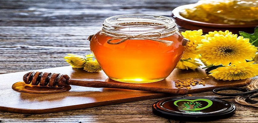 عسل گون چیست - خواص درمانی عسل
